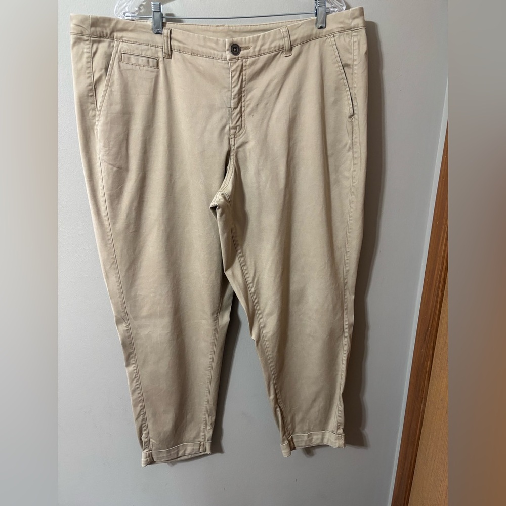 Lane Bryant Khaki Cuffed Chinos